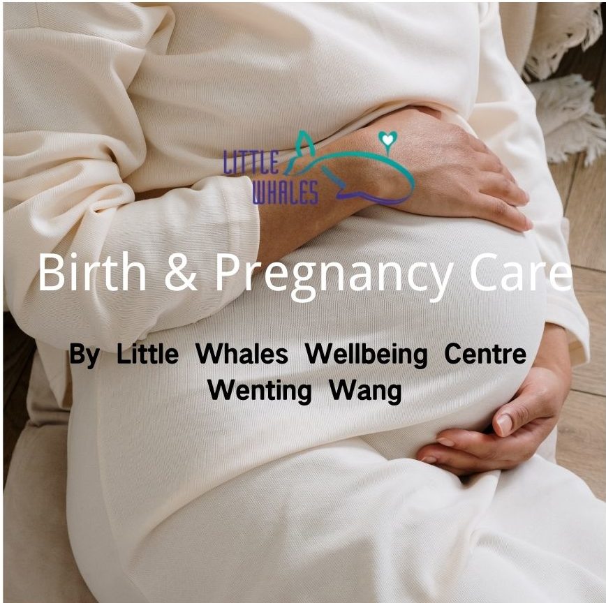 Birth & Pregnancy Care（Practical Workshop included）Hurstville Private Hospital & Ashfield