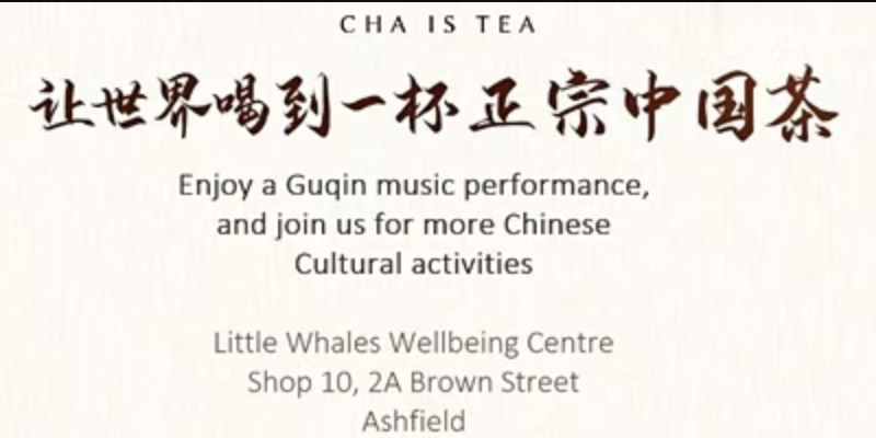 Guqin 古琴 Concert and Chinese Culture Appreciation