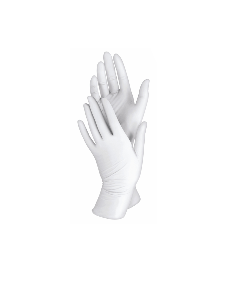 Latex Powder Free Gloves – 100 pack
